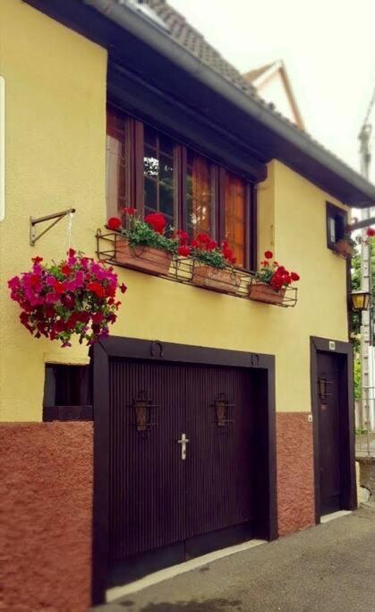 Chez Mamema, Maison Alsacienne Route Des Vins Kintzheim Zewnętrze zdjęcie
